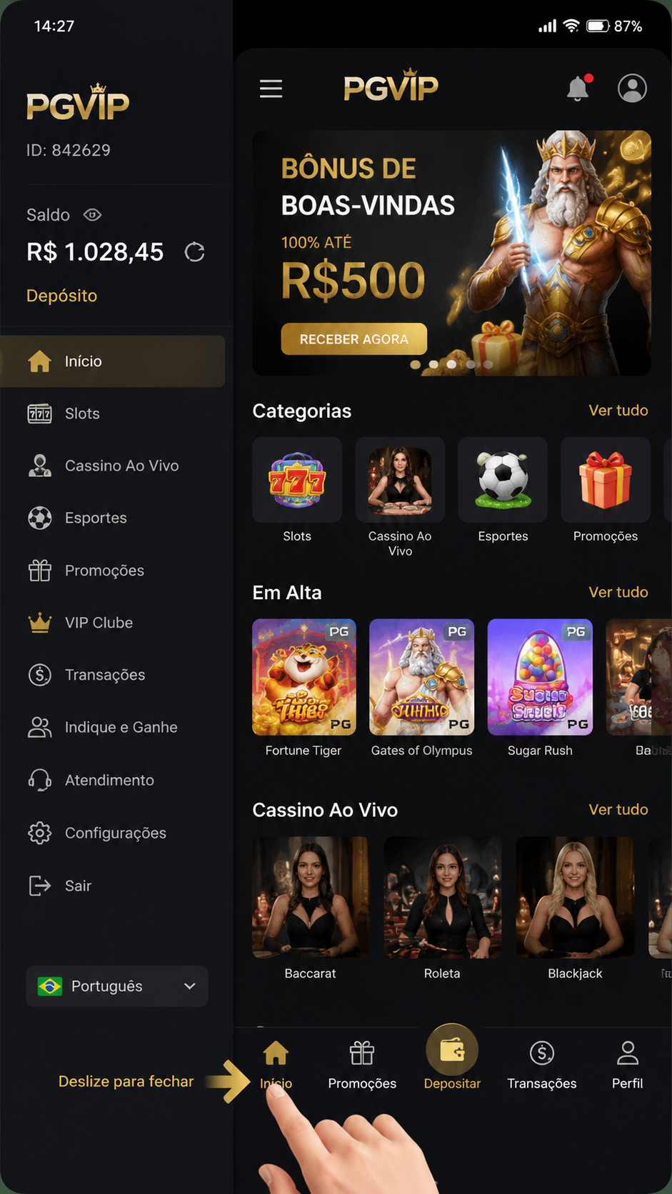 pgvip screenshot